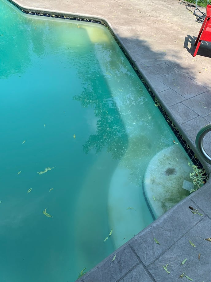 Cloudy pool, looking at steps of an inground concrete pool that is murky from algae