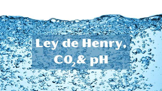 Henrys Law, CO2 and pH-1