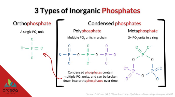 Three types of inorganic phosphates, showing condensed phosphate types convert into orthophosphate