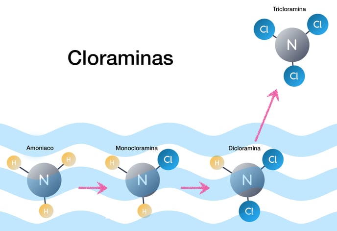 molecula de cloraminas