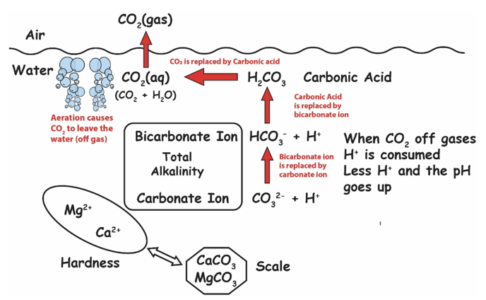 pH rise, aeration, alkalinity equilibria, Lowry Diagram