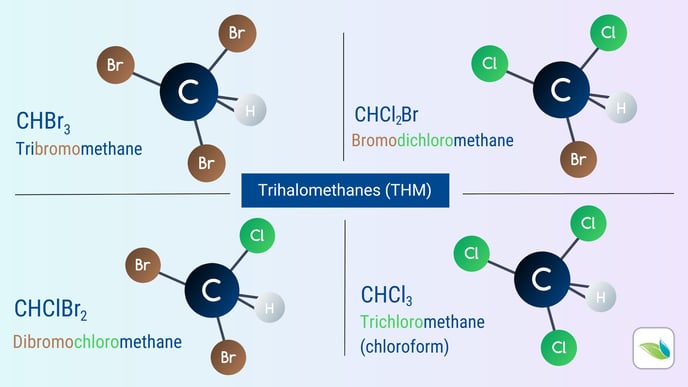 trihalomethanes (THM)-1
