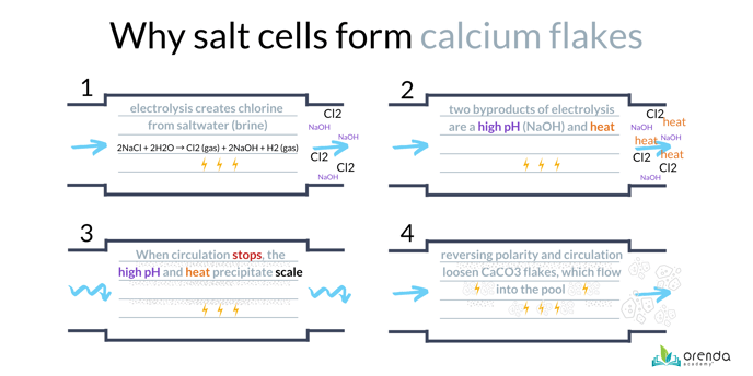 why salt cells form calcium flakes